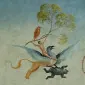 یورپ‌دُد
